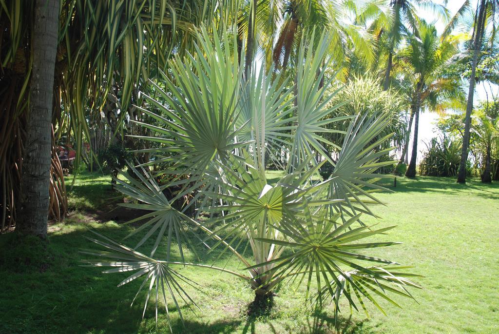 Beso Del Viento (Adults Only) Hotel Parrita Exterior photo