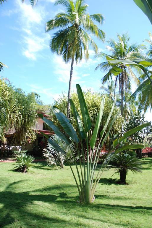 Beso Del Viento (Adults Only) Hotel Parrita Exterior photo