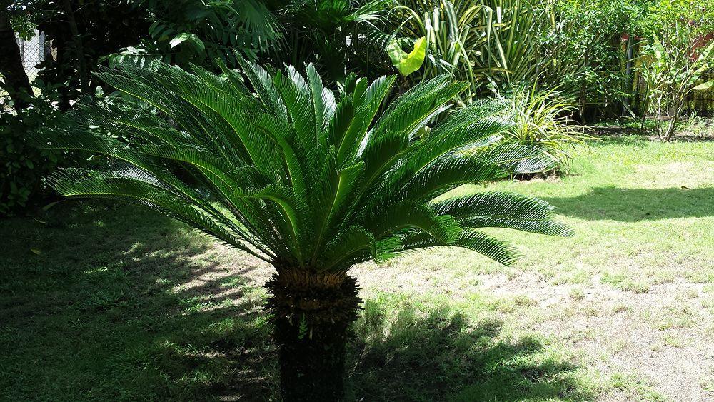Beso Del Viento (Adults Only) Hotel Parrita Exterior photo