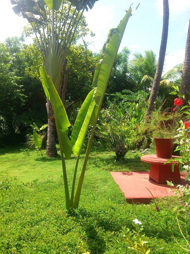Beso Del Viento (Adults Only) Hotel Parrita Exterior photo